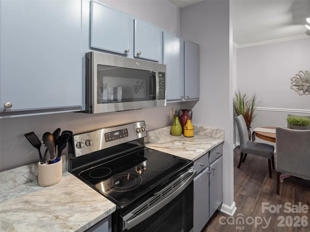 900 Vista Lake Drive #208 Candler, NC 28715