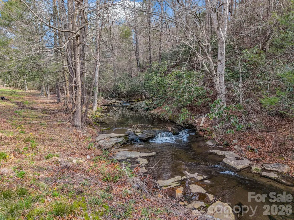 565 Chestertown Drive Mill Spring, NC 28756