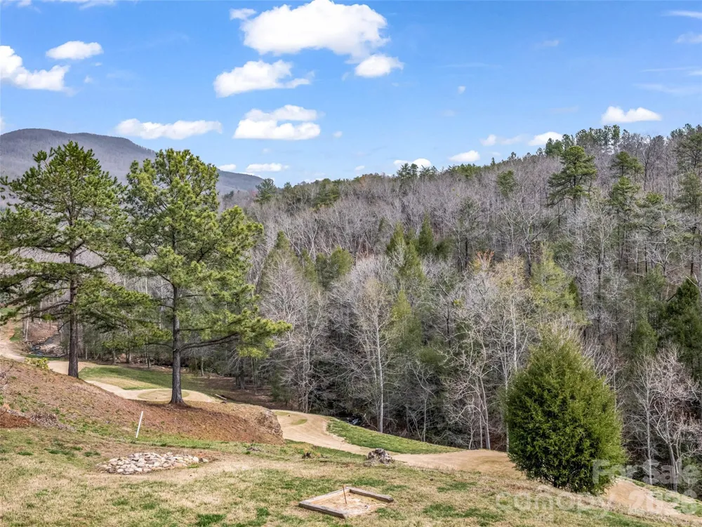 565 Chestertown Drive Mill Spring, NC 28756