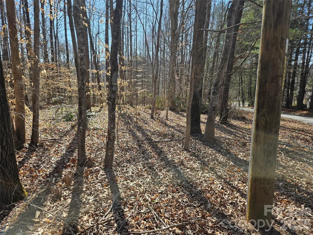 0 General Griffith Circle #37 Rutherfordton, NC 28139
