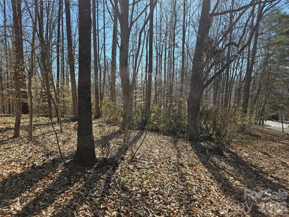 0 General Griffith Circle #37 Rutherfordton, NC 28139