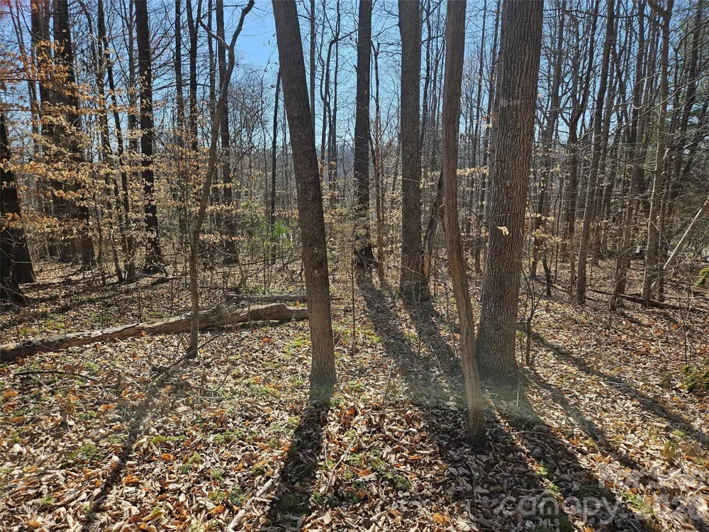 0 General Griffith Circle #37 Rutherfordton, NC 28139
