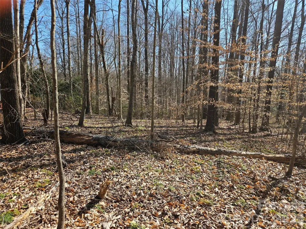 0 General Griffith Circle #37 Rutherfordton, NC 28139