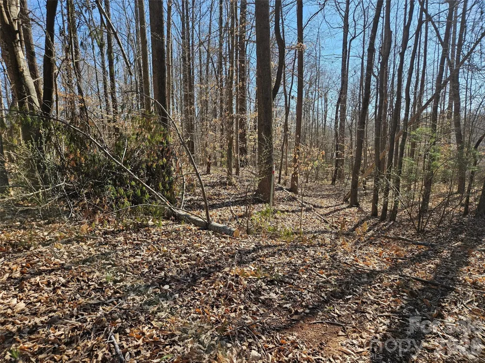 0 General Griffith Circle #37 Rutherfordton, NC 28139