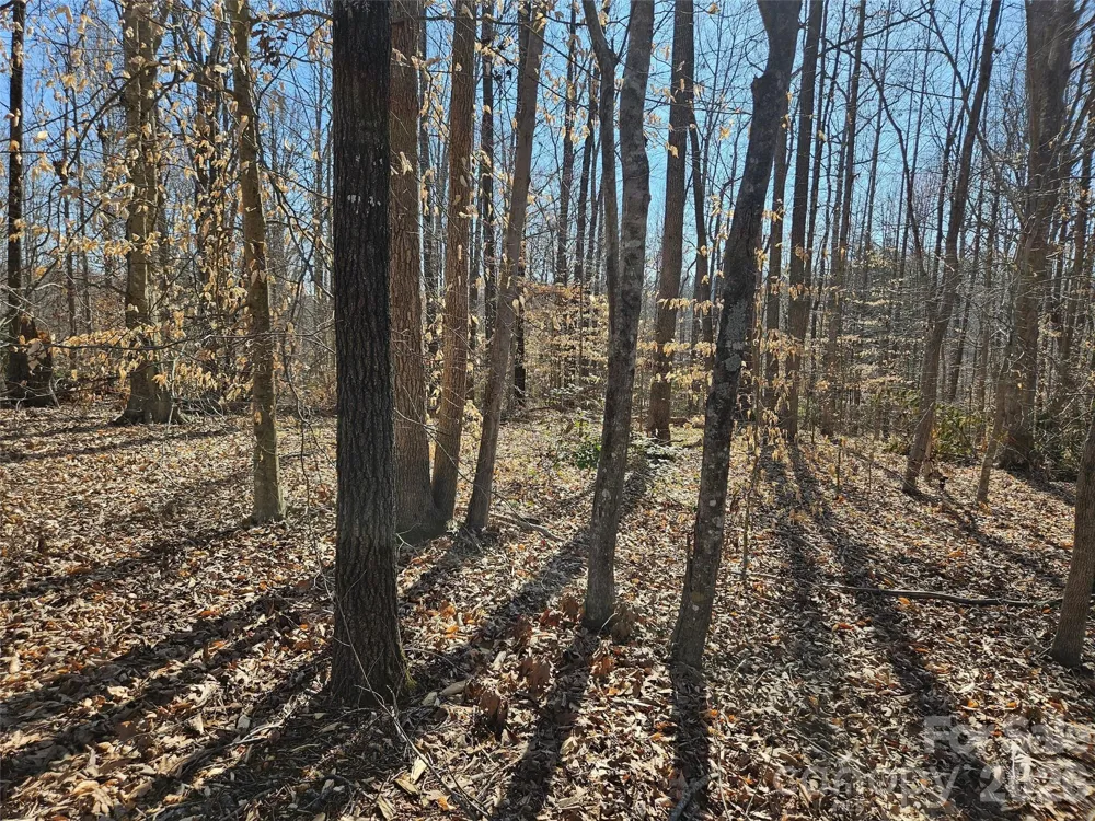 0 General Griffith Circle #37 Rutherfordton, NC 28139