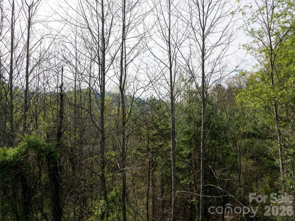 Lot 38 Sunnybrook Trail Clyde, NC 28721