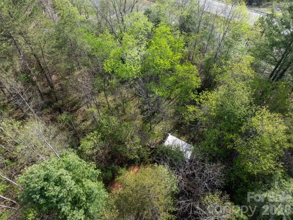 Lot 38 Sunnybrook Trail Clyde, NC 28721