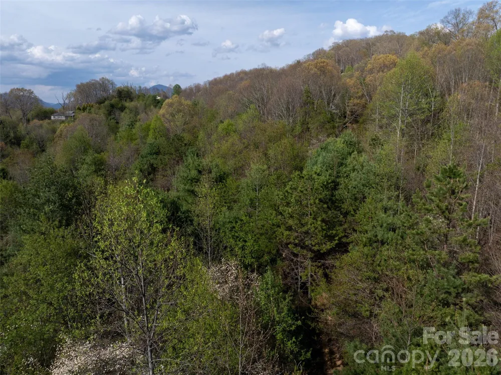 Lot 38 Sunnybrook Trail Clyde, NC 28721
