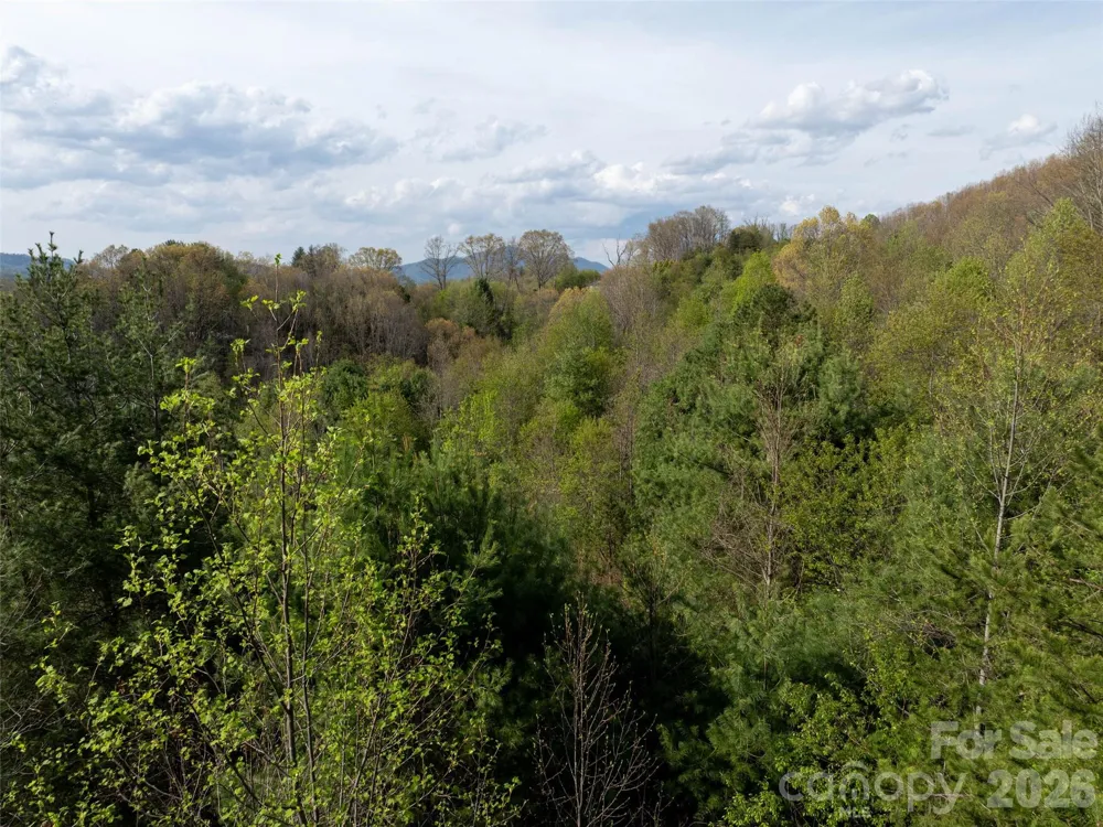 Lot 38 Sunnybrook Trail Clyde, NC 28721