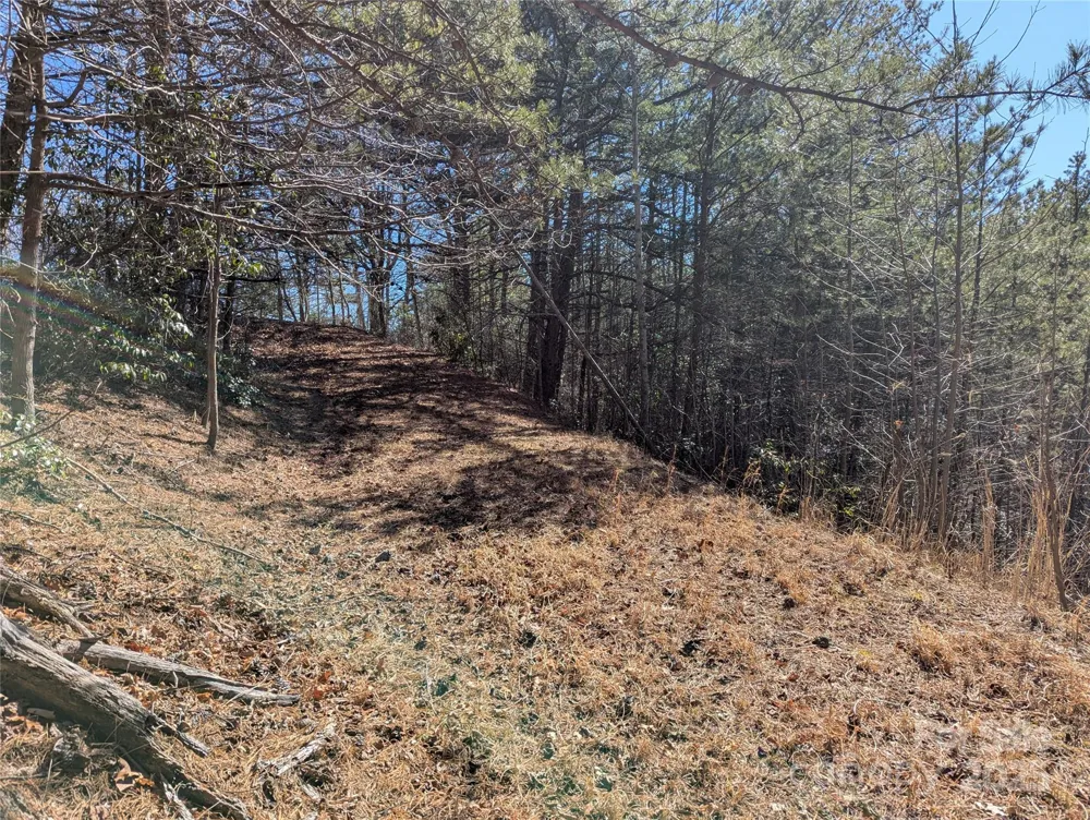 94 Trillium Lane #C-2 Black Mountain, NC 28711