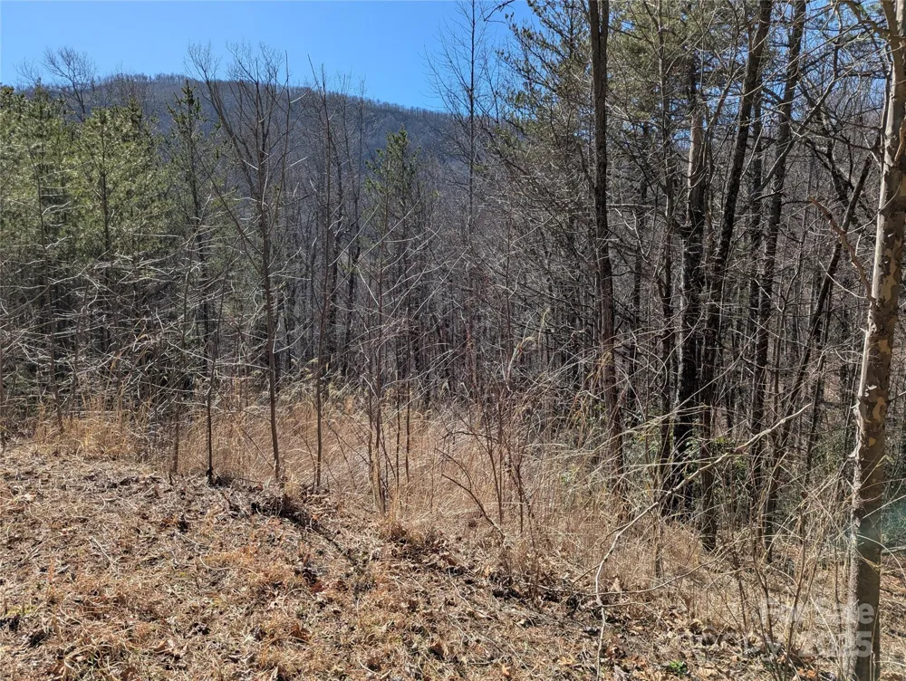 94 Trillium Lane #C-2 Black Mountain, NC 28711