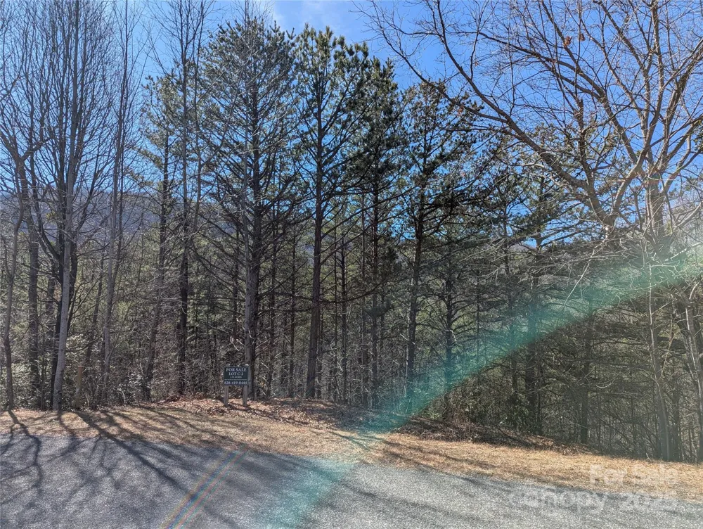 94 Trillium Lane #C-2 Black Mountain, NC 28711