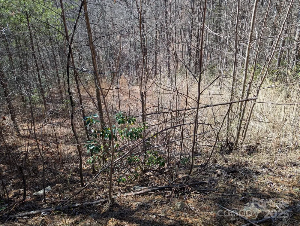 94 Trillium Lane #C-2 Black Mountain, NC 28711