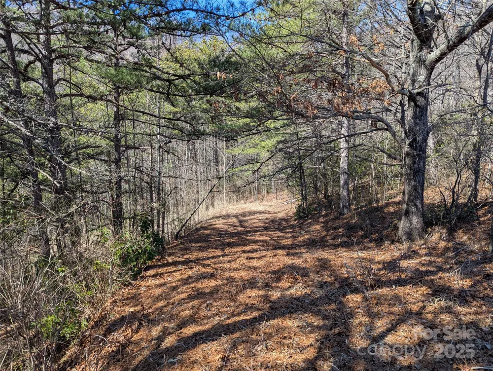 94 Trillium Lane #C-2 Black Mountain, NC 28711