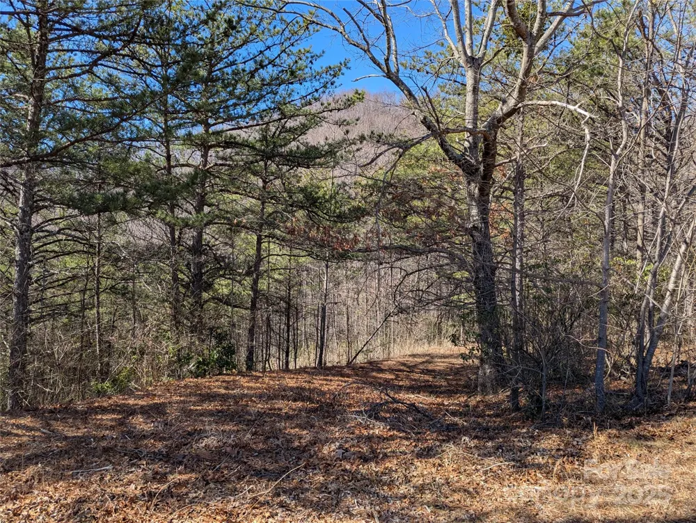 94 Trillium Lane #C-2 Black Mountain, NC 28711