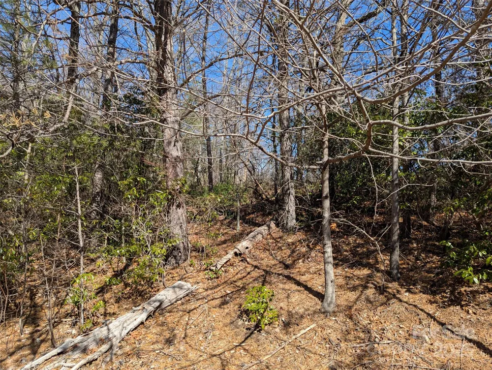 94 Trillium Lane #C-2 Black Mountain, NC 28711