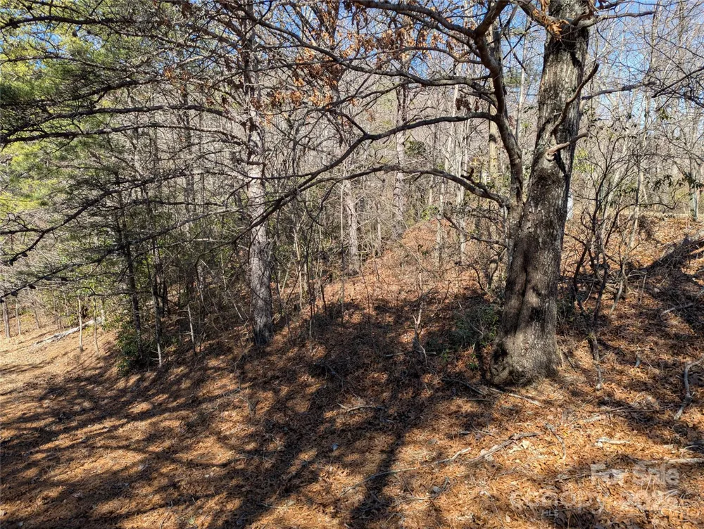 94 Trillium Lane #C-2 Black Mountain, NC 28711