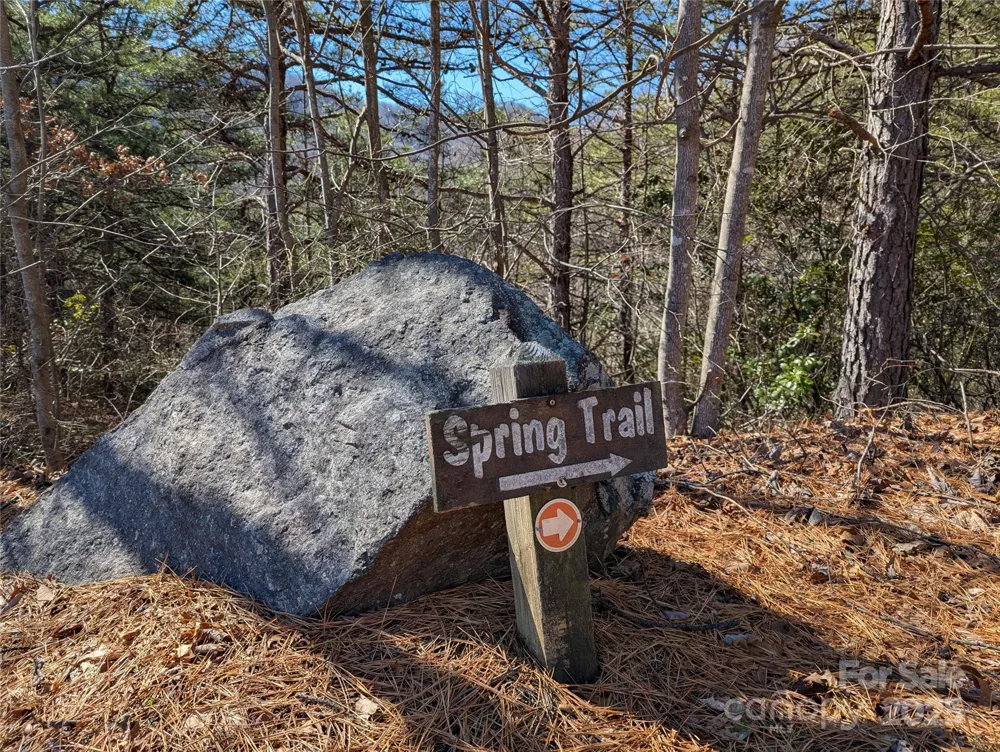 94 Trillium Lane #C-2 Black Mountain, NC 28711