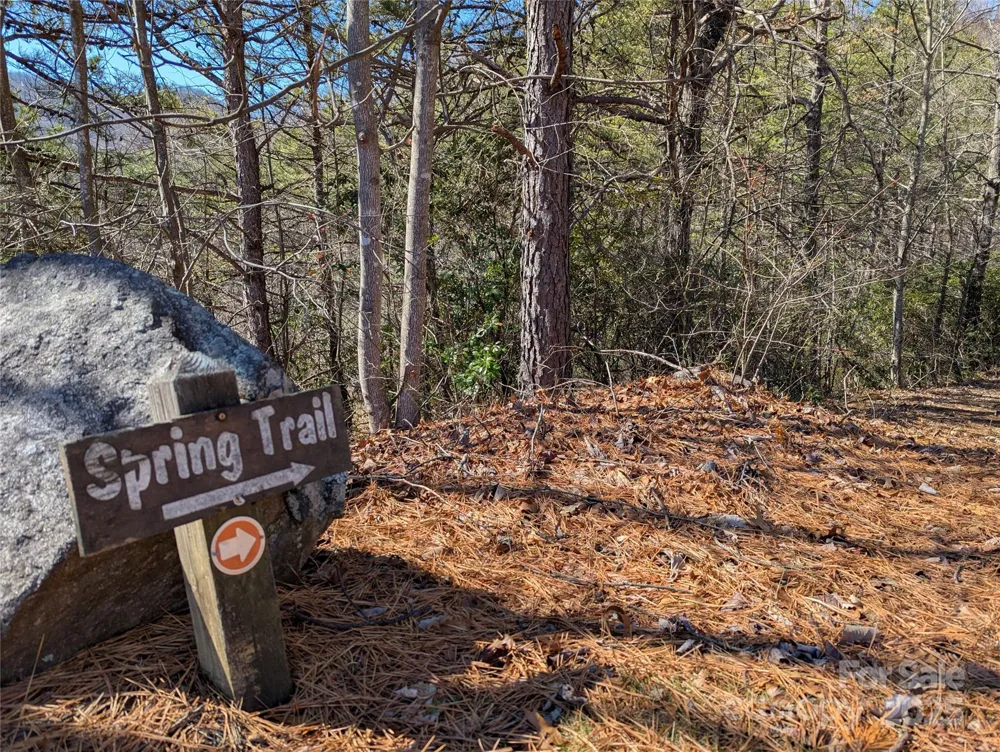 94 Trillium Lane #C-2 Black Mountain, NC 28711