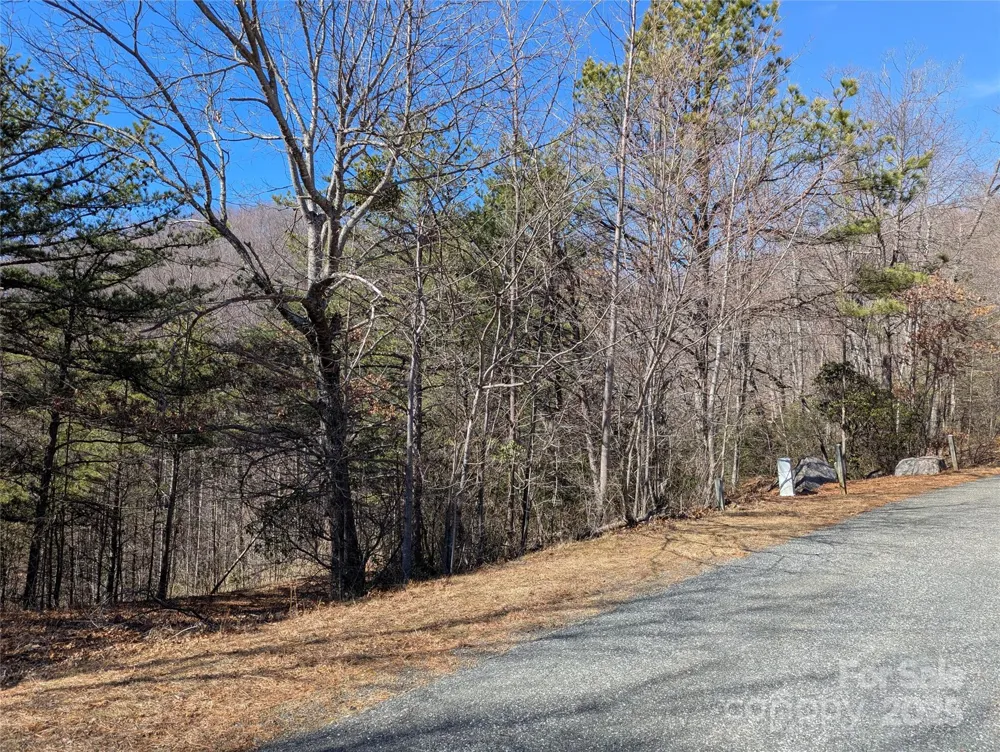 94 Trillium Lane #C-2 Black Mountain, NC 28711