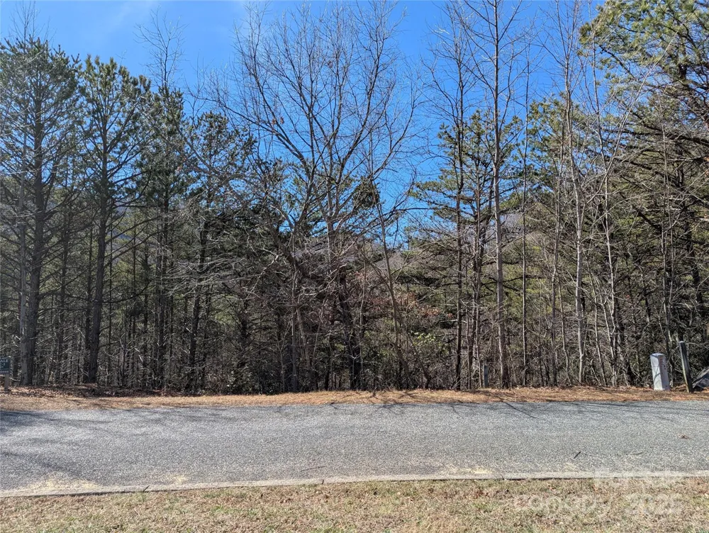 94 Trillium Lane #C-2 Black Mountain, NC 28711