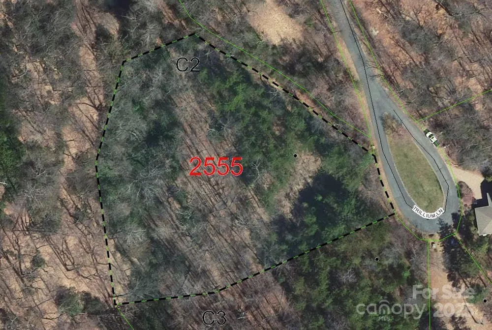 94 Trillium Lane #C-2 Black Mountain, NC 28711