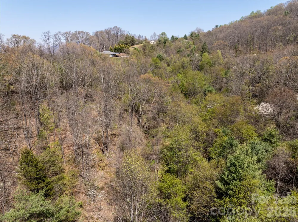 Lot 42 Sunnybrook Trail Clyde, NC 28721