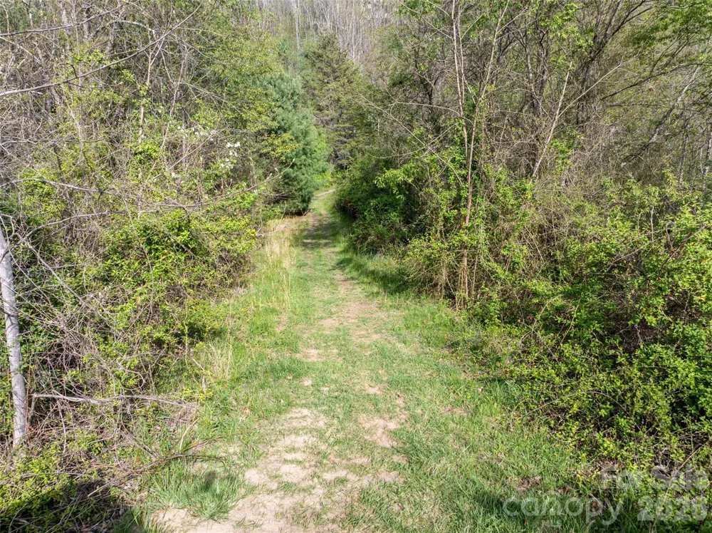 Lot 42 Sunnybrook Trail Clyde, NC 28721
