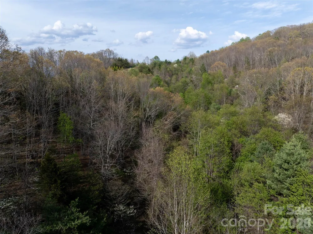 Lot 42 Sunnybrook Trail Clyde, NC 28721