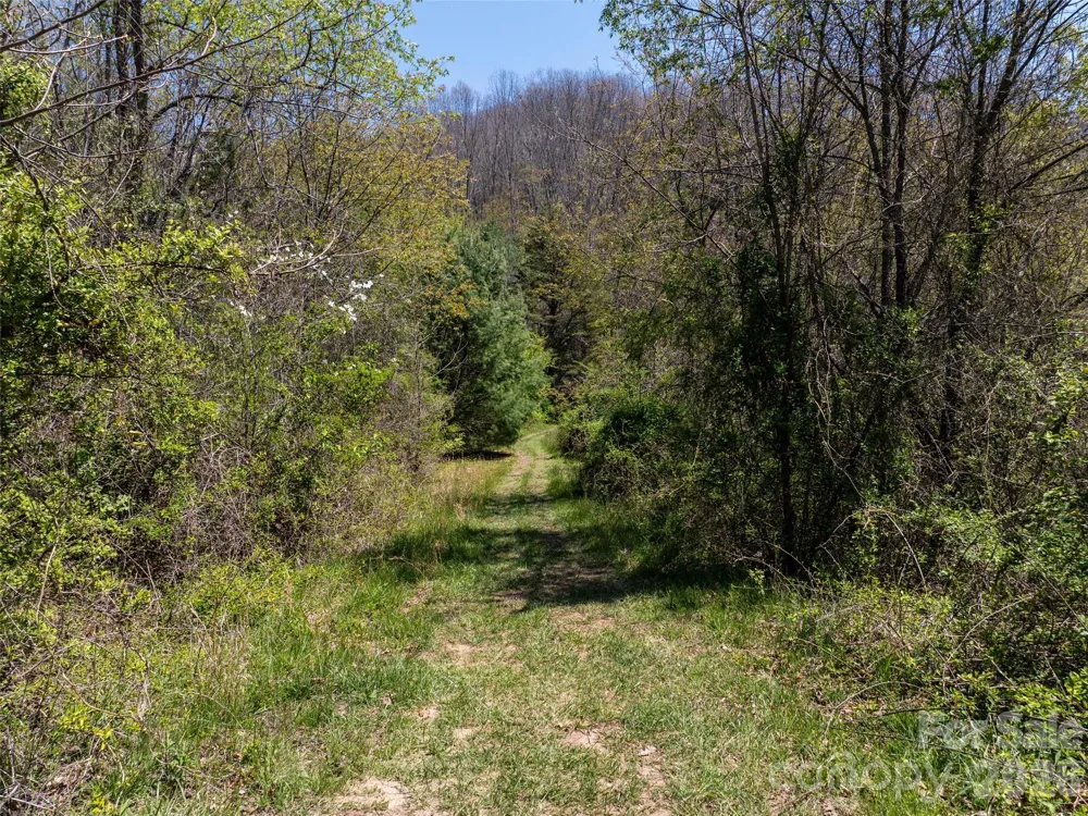 Lot 43 Sunnybrook Trail Clyde, NC 28721