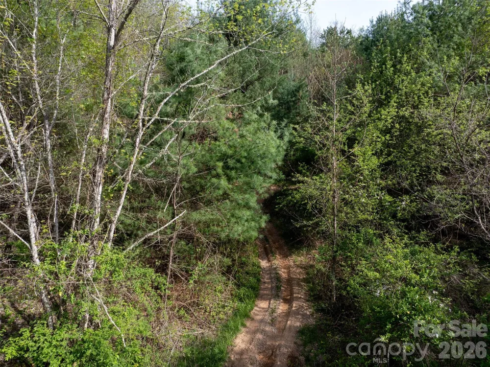 Lot 43 Sunnybrook Trail Clyde, NC 28721