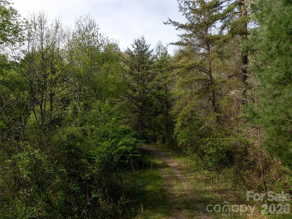Lot 43 Sunnybrook Trail Clyde, NC 28721