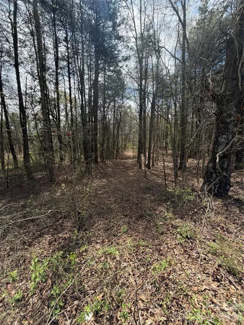 5495 Bucks Garage Road