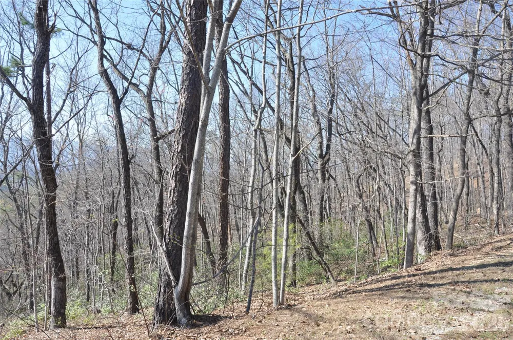 TBD Mountain Crest Drive S #41 Marion, NC 28752