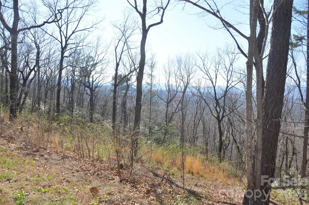 TBD Mountain Crest Drive S #41 Marion, NC 28752