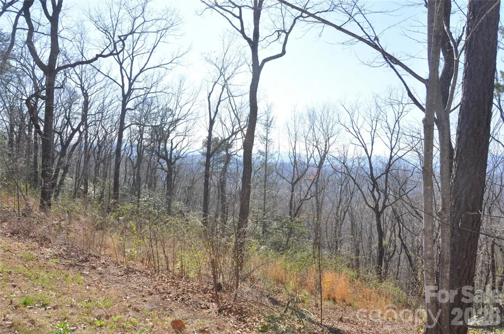 TBD Mountain Crest Drive S #41 Marion, NC 28752