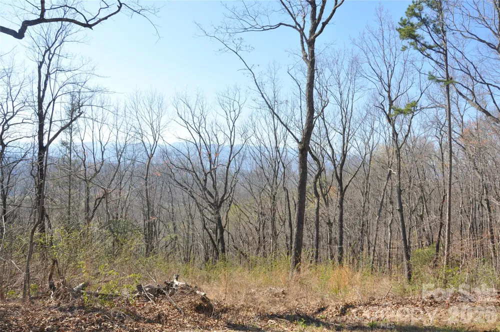 TBD Mountain Crest Drive S #41 Marion, NC 28752