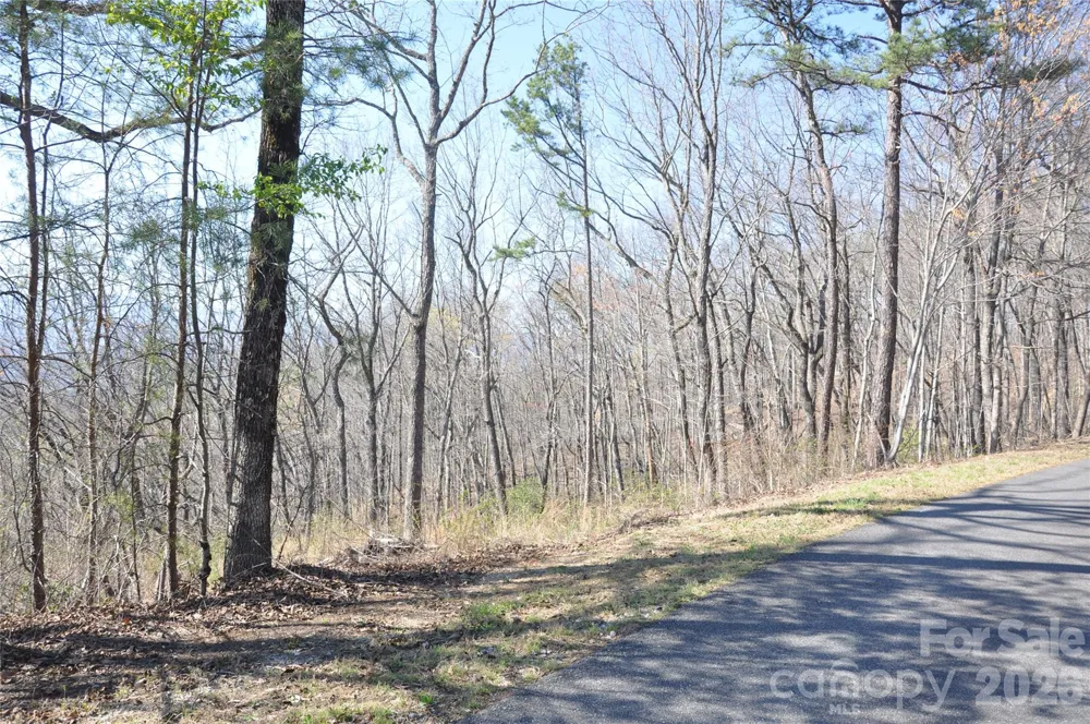TBD Mountain Crest Drive S #41 Marion, NC 28752