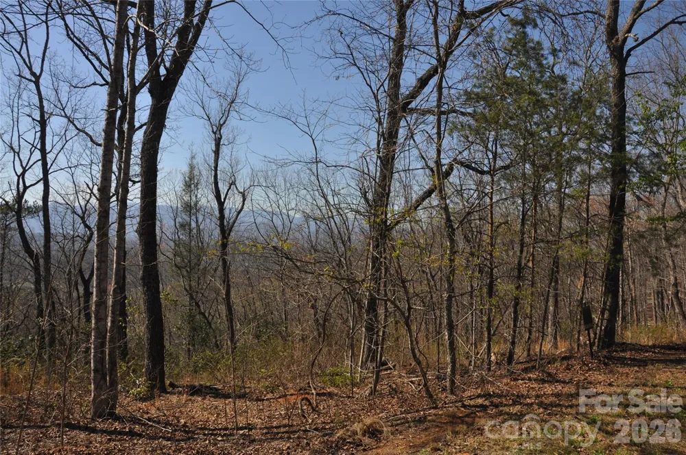 TBD Mountain Crest Drive S #41 Marion, NC 28752