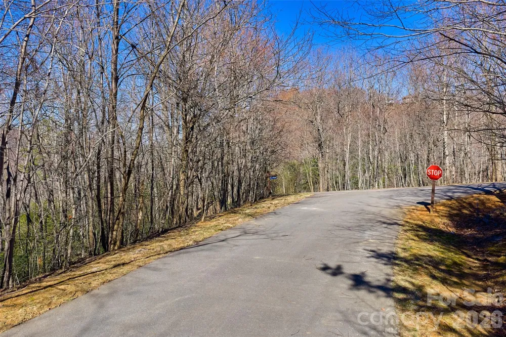 459/461 Feather Falls Trail Black Mountain, NC 28711