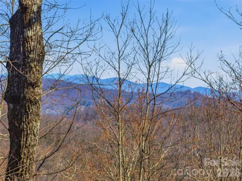 TBD Panther Mountain Road #18