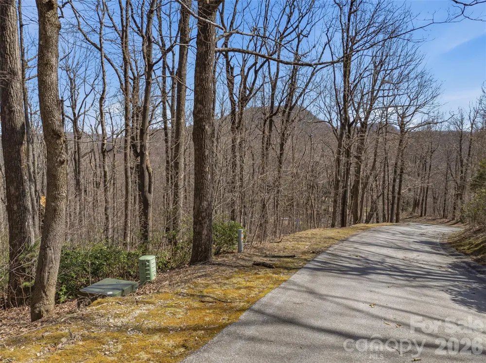 TBD Wild Magnolia Way #52 Zirconia, NC 28790