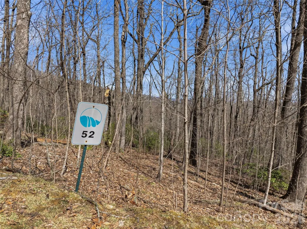 TBD Wild Magnolia Way #52 Zirconia, NC 28790