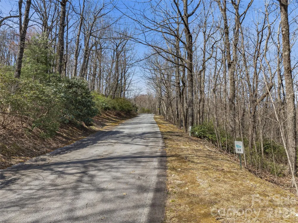 TBD Wild Magnolia Way #52 Zirconia, NC 28790