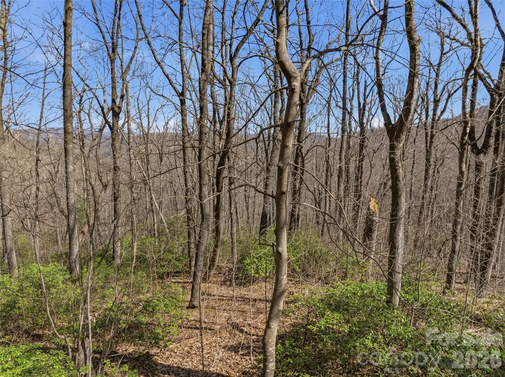 TBD Wild Magnolia Way #52 Zirconia, NC 28790