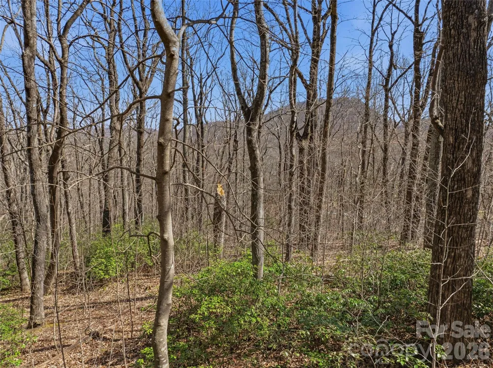 TBD Wild Magnolia Way #52 Zirconia, NC 28790