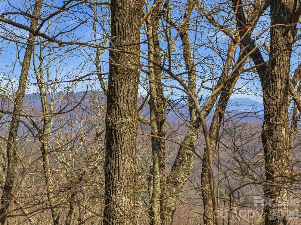 TBD Wild Magnolia Way #52 Zirconia, NC 28790