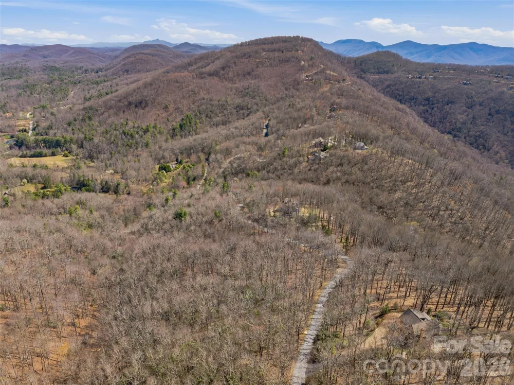 TBD Wild Magnolia Way #52 Zirconia, NC 28790