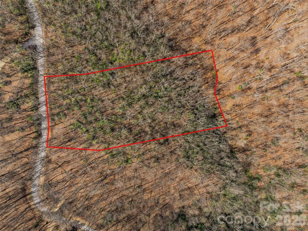 TBD Wild Magnolia Way #52 Zirconia, NC 28790
