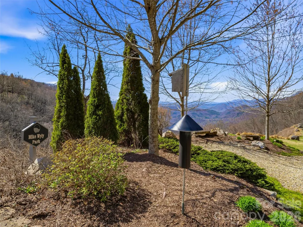 TBD Wild Magnolia Way #52 Zirconia, NC 28790